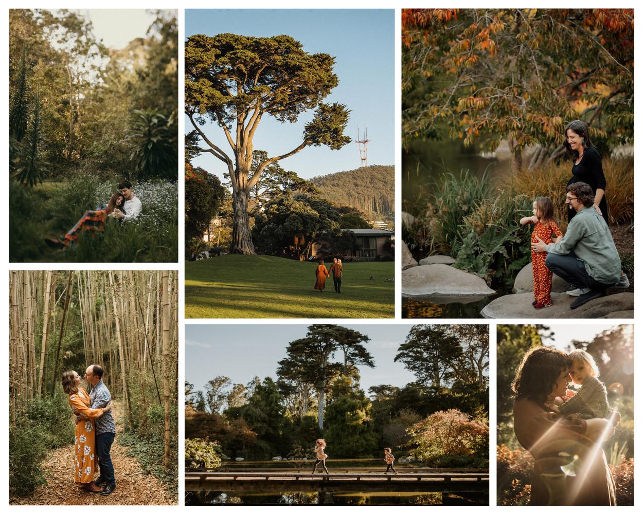 Collage of family and maternity photography sessions at the San Francisco Botanical Garden 
