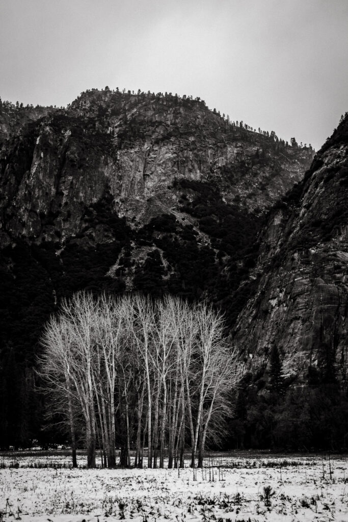 Black and white fine art photo in Yosemite Valley by Ashley Kaplan Photography