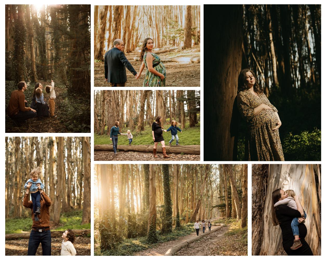 Collage of family and maternity photography sessions at Woodline Lovers Lane in the Presidio of SF