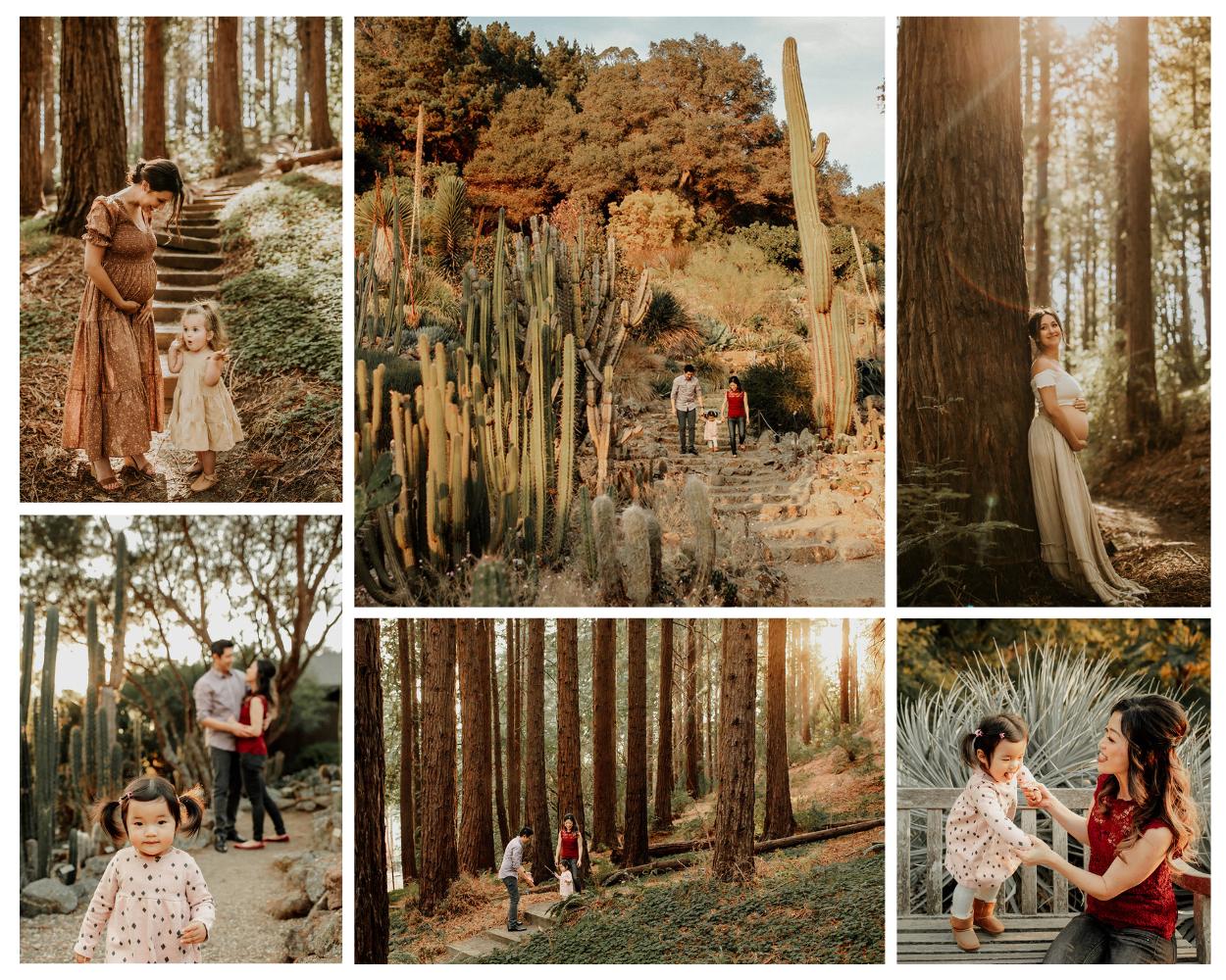 Collage of best East Bay locations family and maternity photo sessions at UC Berkeley Botanical Gardens