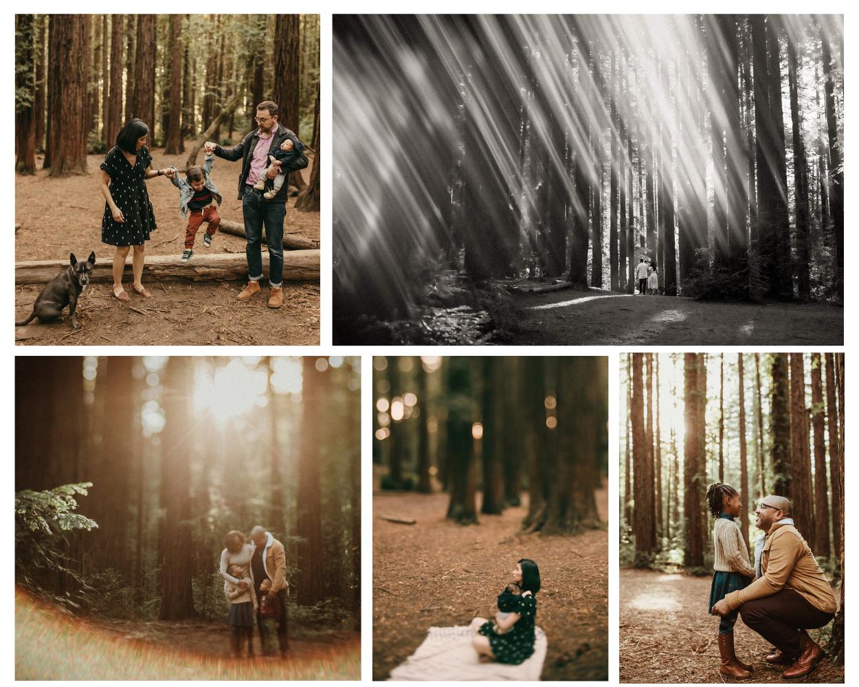 Collage of best East Bay locations family and maternity photo sessions at Joaquin Miller Redwood location in East Bay