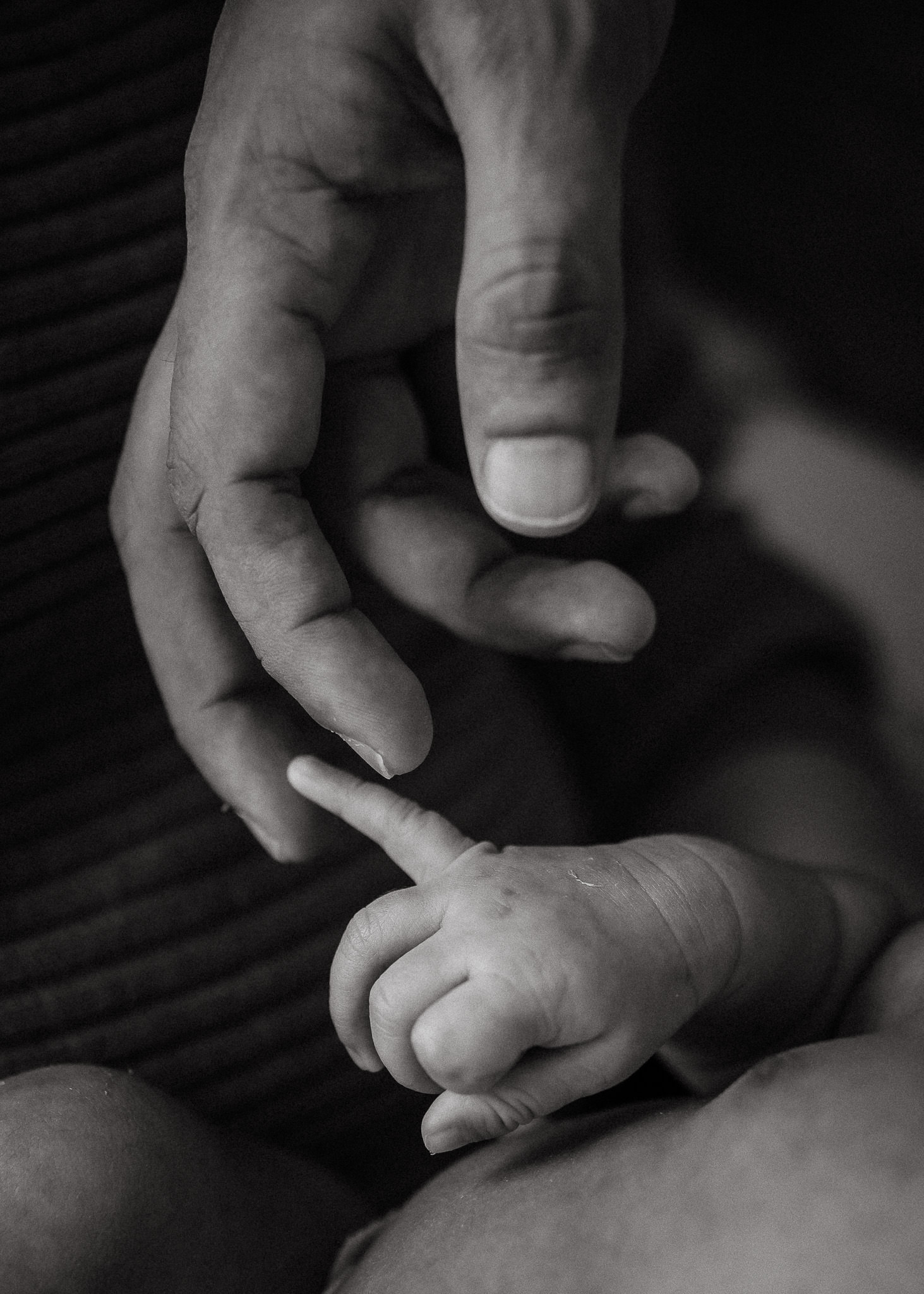 black and white photo of dad and baby hands by Ashley Kaplan Photography